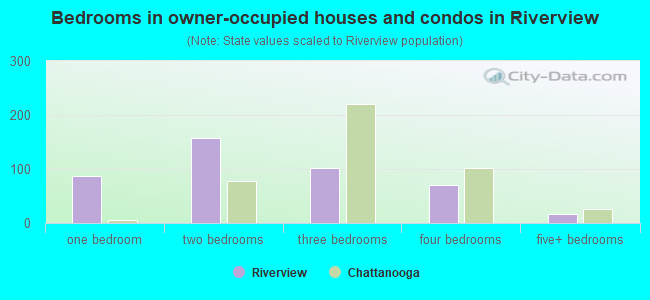 Bedrooms in owner-occupied houses and condos in Riverview