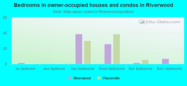 Bedrooms in owner-occupied houses and condos in Riverwood