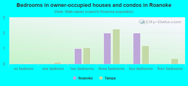 Bedrooms in owner-occupied houses and condos in Roanoke
