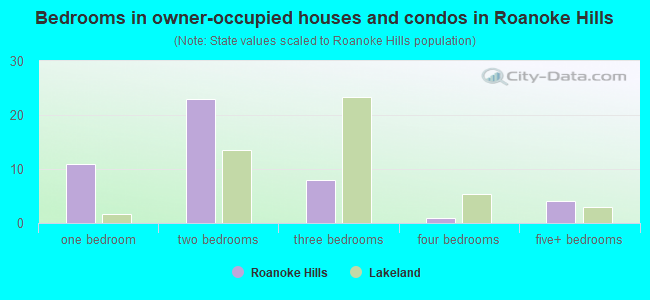Bedrooms in owner-occupied houses and condos in Roanoke Hills