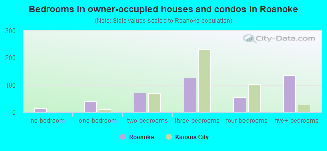 Bedrooms in owner-occupied houses and condos in Roanoke