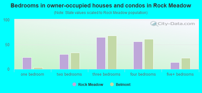 Bedrooms in owner-occupied houses and condos in Rock Meadow