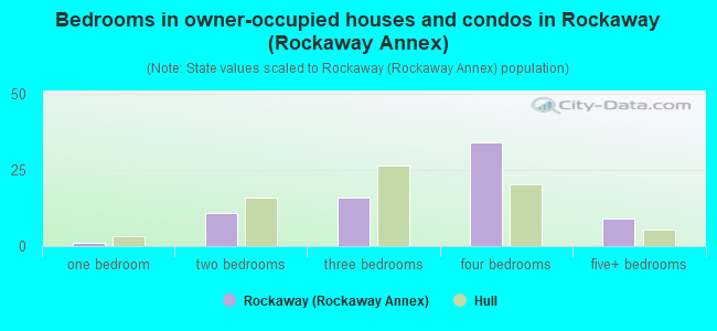 Bedrooms in owner-occupied houses and condos in Rockaway (Rockaway Annex)