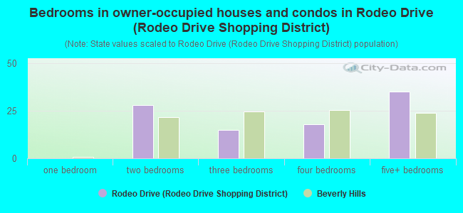 Bedrooms in owner-occupied houses and condos in Rodeo Drive (Rodeo Drive Shopping District)