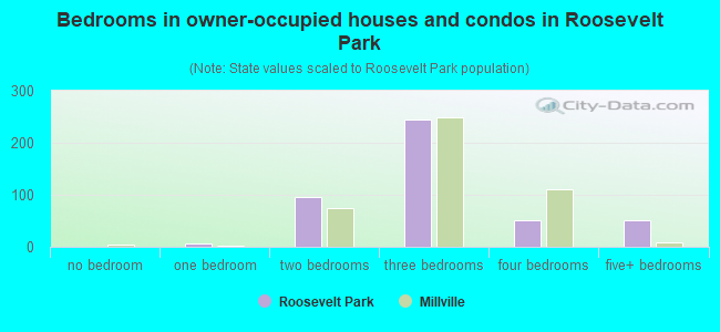 Bedrooms in owner-occupied houses and condos in Roosevelt Park