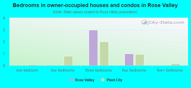 Bedrooms in owner-occupied houses and condos in Rose Valley