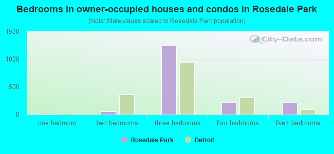 Bedrooms in owner-occupied houses and condos in Rosedale Park