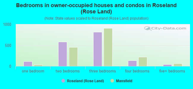 Bedrooms in owner-occupied houses and condos in Roseland (Rose Land)