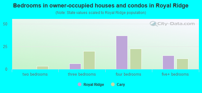 Bedrooms in owner-occupied houses and condos in Royal Ridge