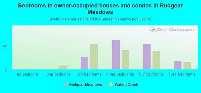 Bedrooms in owner-occupied houses and condos in Rudgear Meadows
