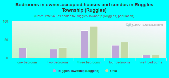 Bedrooms in owner-occupied houses and condos in Ruggles Township (Ruggles)