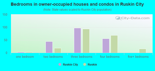 Bedrooms in owner-occupied houses and condos in Ruskin City