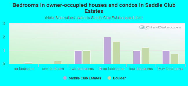 Bedrooms in owner-occupied houses and condos in Saddle Club Estates