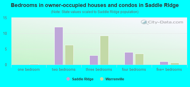 Bedrooms in owner-occupied houses and condos in Saddle RIdge