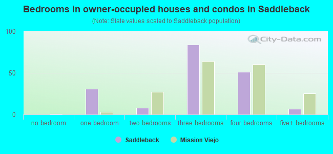 Bedrooms in owner-occupied houses and condos in Saddleback