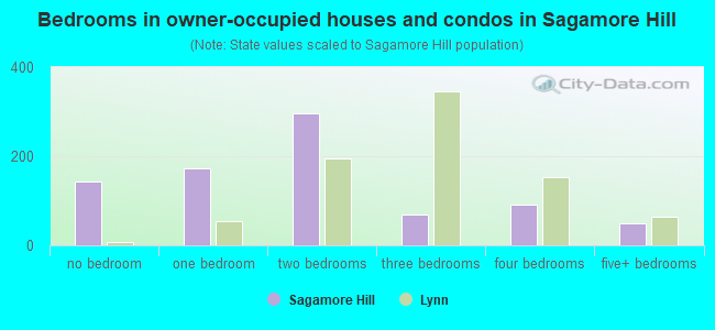 Bedrooms in owner-occupied houses and condos in Sagamore Hill