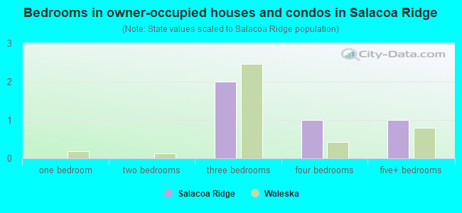Bedrooms in owner-occupied houses and condos in Salacoa Ridge