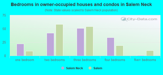 Bedrooms in owner-occupied houses and condos in Salem Neck