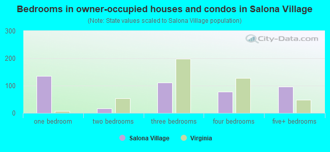 Bedrooms in owner-occupied houses and condos in Salona Village