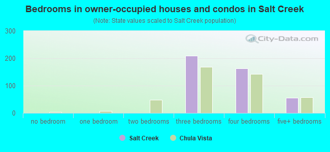 Bedrooms in owner-occupied houses and condos in Salt Creek
