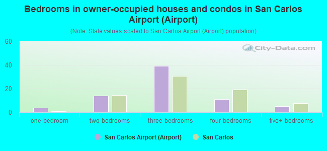 Bedrooms in owner-occupied houses and condos in San Carlos Airport (Airport)