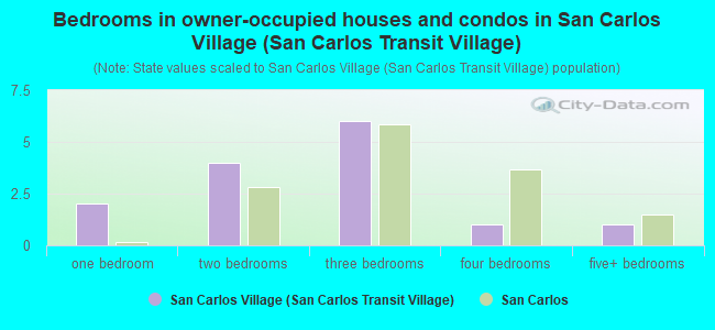 Bedrooms in owner-occupied houses and condos in San Carlos Village (San Carlos Transit Village)