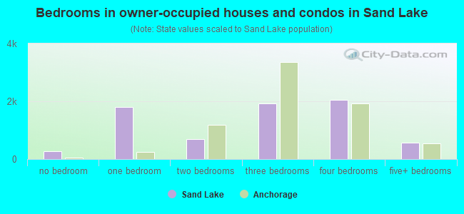 Bedrooms in owner-occupied houses and condos in Sand Lake