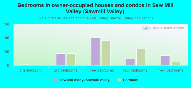Bedrooms in owner-occupied houses and condos in Saw Mill Valley (Sawmill Valley)
