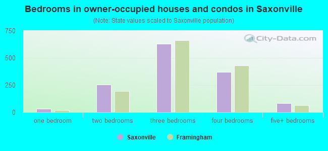 Bedrooms in owner-occupied houses and condos in Saxonville