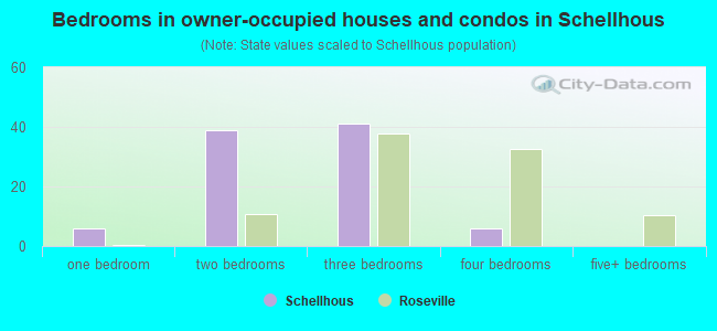 Bedrooms in owner-occupied houses and condos in Schellhous