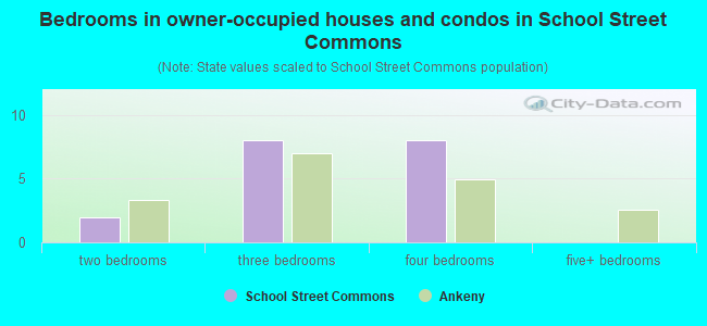 Bedrooms in owner-occupied houses and condos in School Street Commons