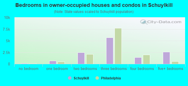 Bedrooms in owner-occupied houses and condos in Schuylkill