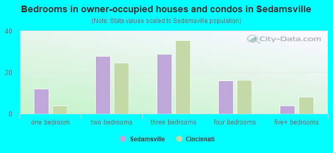 Bedrooms in owner-occupied houses and condos in Sedamsville