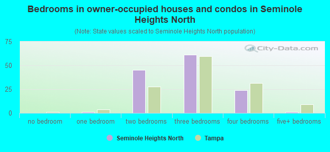Bedrooms in owner-occupied houses and condos in Seminole Heights North