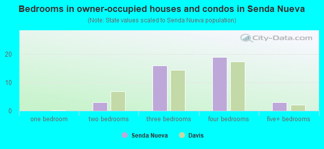 Bedrooms in owner-occupied houses and condos in Senda Nueva