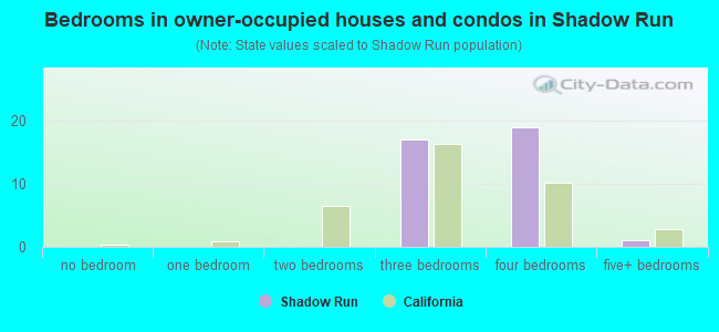 Bedrooms in owner-occupied houses and condos in Shadow Run