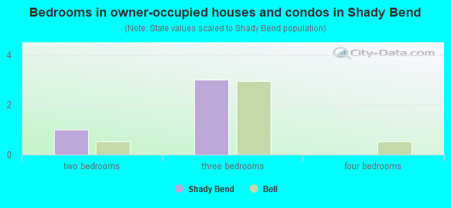Bedrooms in owner-occupied houses and condos in Shady Bend