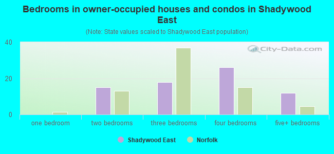 Bedrooms in owner-occupied houses and condos in Shadywood East