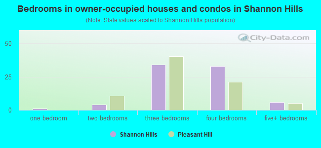 Bedrooms in owner-occupied houses and condos in Shannon Hills