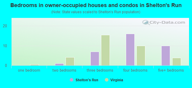 Bedrooms in owner-occupied houses and condos in Shelton's Run