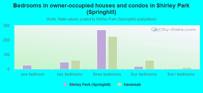 Bedrooms in owner-occupied houses and condos in Shirley Park (Springhill)