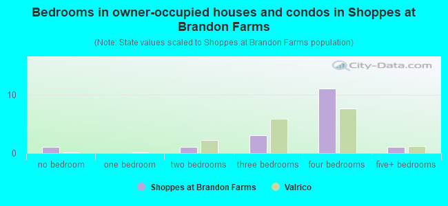Bedrooms in owner-occupied houses and condos in Shoppes at Brandon Farms
