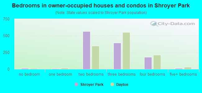 Bedrooms in owner-occupied houses and condos in Shroyer Park