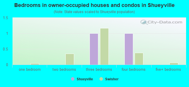 Bedrooms in owner-occupied houses and condos in Shueyville