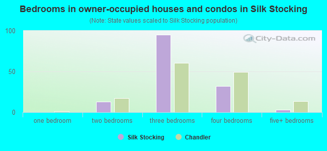 Bedrooms in owner-occupied houses and condos in Silk Stocking