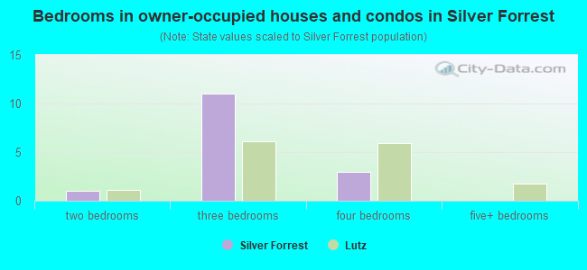 Bedrooms in owner-occupied houses and condos in Silver Forrest