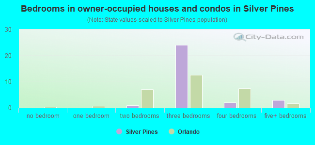 Bedrooms in owner-occupied houses and condos in Silver Pines