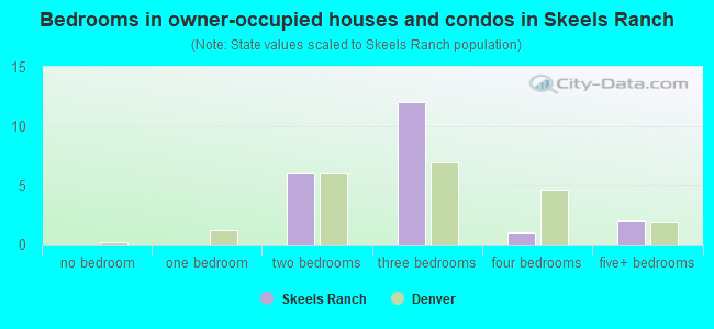 Bedrooms in owner-occupied houses and condos in Skeels Ranch