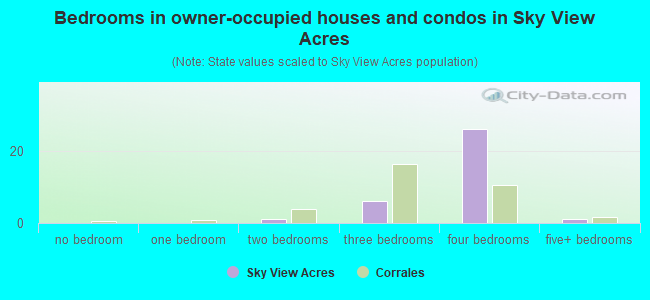 Bedrooms in owner-occupied houses and condos in Sky View Acres