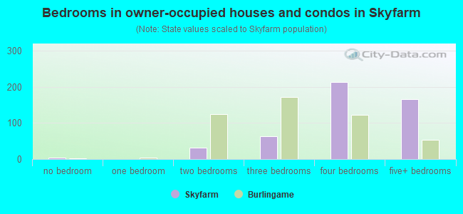 Bedrooms in owner-occupied houses and condos in Skyfarm